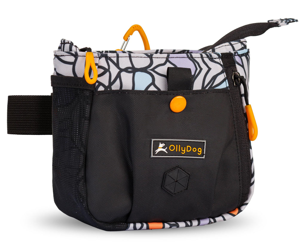OllyDog Backcountry Day Bag Fanny Pack Dog Treat Pouch Hands-Free for Training Hip Pack with Built-in Poop Bag Dispenser Removable Waist Belt Clip (Bloom)